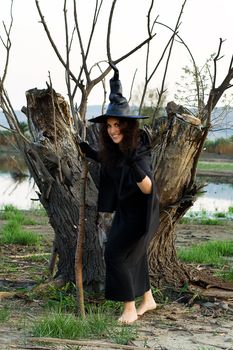 halloween witch against the background of dried wood and marsh