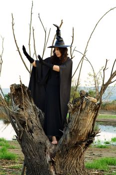 Halloween Witch hid in a hollow tree, and preparing new villainy