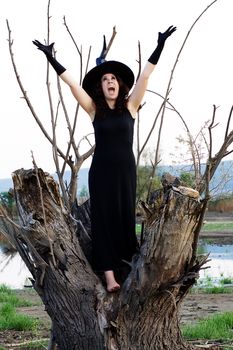 halloween witch appeals to the sky while standing on a tree