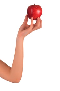 Woman's hands with orange isolated over white background