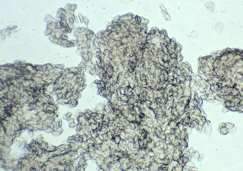 Skin under the microscope, background