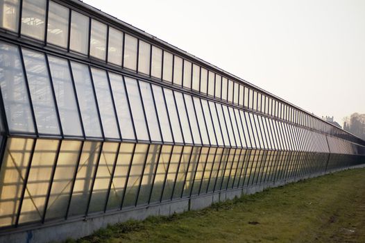 Greenhouse at late afternoon