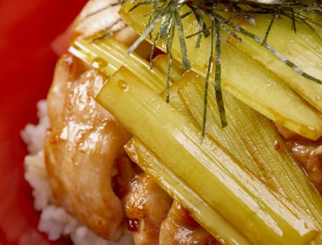 Chicken with rice and bamboo.Japanese Food 