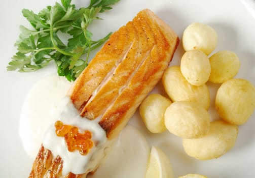 Salmon  with potato .Shallow depth-of-field