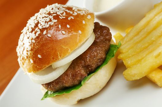 Hamburger with french fries. closeup