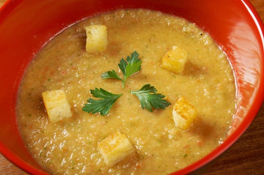 gazpacho with garlic croutons .closeup