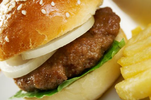 Hamburger with french fries. closeup
