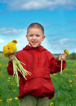 boy searches for bug in herb on meadow with dandelion