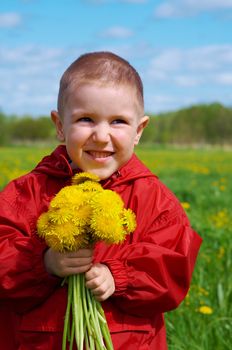 boy searches for bug in herb on meadow with dandelion