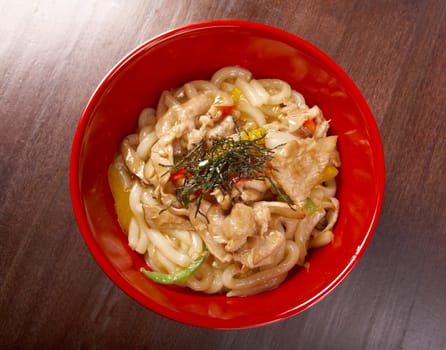 pork slice  and udon-noodle.Japanese cuisine