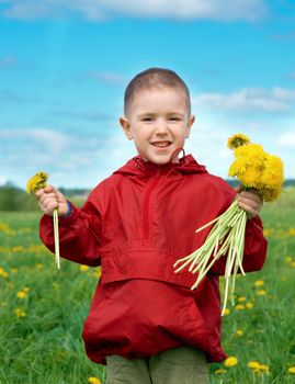 boy searches for bug in herb on meadow with dandelion
