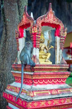 Small monkey sit on shrine at the hill temple in Krabi province, Thailand