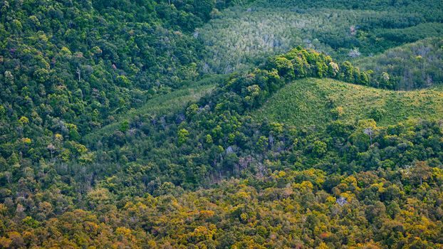 Aerial photo of forest in Thailand