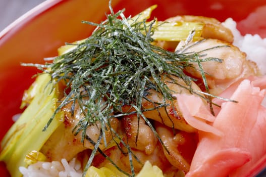 Chicken with rice and bamboo.Japanese Food 