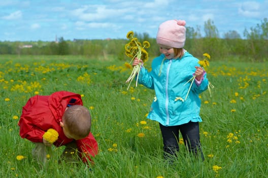 boy and small girl  on meadow with dandelion