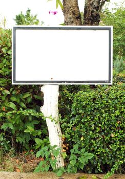 white blank sign in the garden