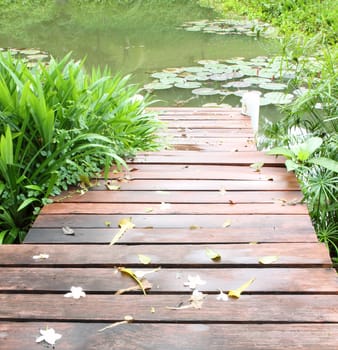 wooden path way to the lotus pond