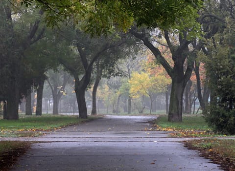 path in an autumnal park