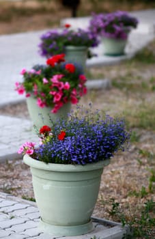 Decorative park pots with flowers on the footpathes tiles