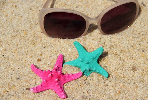 Funny starfishes on the beach and female sunglasses