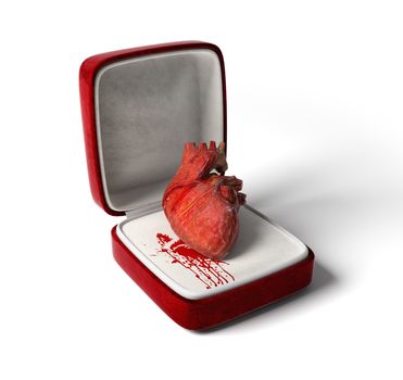 anatomical heart as a love gift (3D concept)