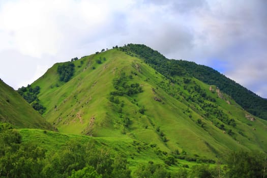 Summer beautiful landscape with Caucasus green mountains