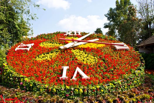 Flower clock