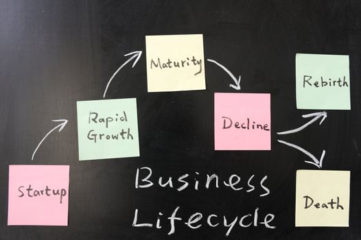 Business lifecycle  concept on blackboard