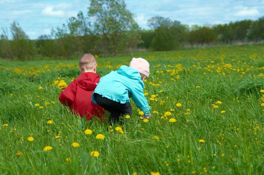 boy and small girl  on meadow with dandelion
