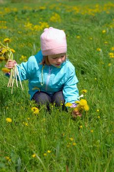 small girl  on meadow with dandelion