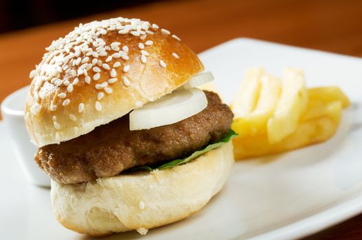 Hamburger with french fries. closeup