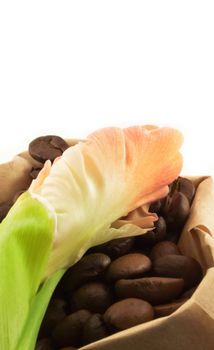 The roasted coffee grains in paper bags with flower