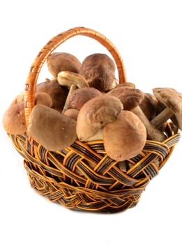 Rural wattled basket filled with autumn mushrooms