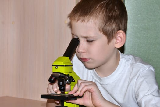 The teenager conducts researches, looking in a microscope