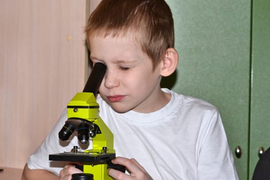 The teenager conducts researches, looking in a microscope