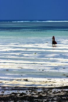 a masai man in the sea in zanzibar