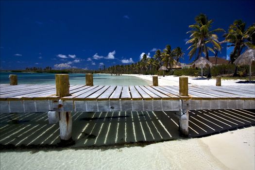 mexico isla  contoy and the blue sea