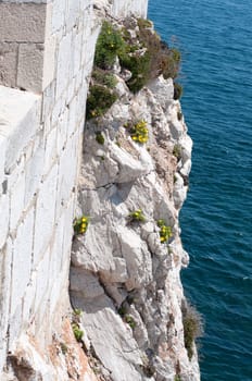 The cliff with green grass and blue sea