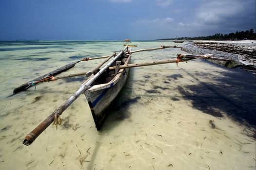 piroga and zanzibar