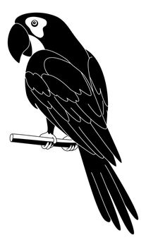 Clever speaking parrot sits on a wooden pole, black silhouette on white background.