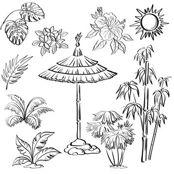 Exotic objects set, black contour on white background: umbrella canopy, plants, leaves, flowers, the sun.