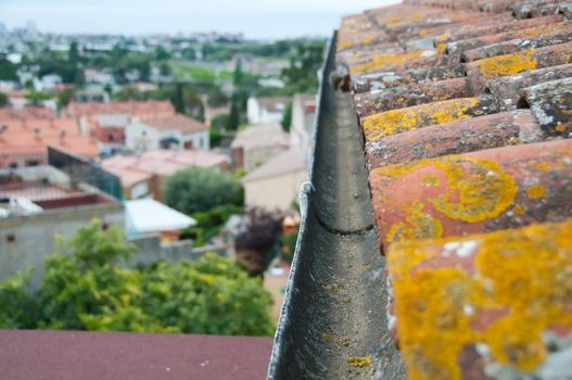 Rain gutter on the old tile roof with moss