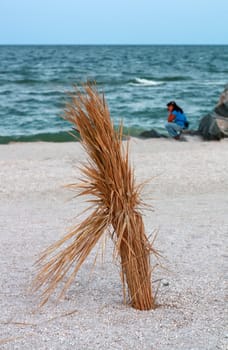 A bunch of reeds on the beach against the sea and silhouette sitting girl at the summer evening