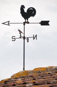 Wind cock weather vane direction with bird