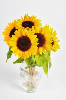 Sunflowers in a glass vase on light background