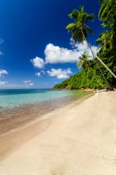 Beautiful deserted beach in San Andres y Providencia, Colombia