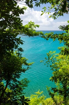 View of Caribbean Sea through trees in San Andres y Providencia, Colombia