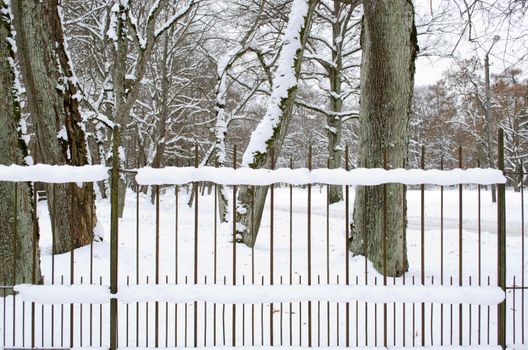 retro rusty metal fence covered with snow in park and old tree trunks in winter.