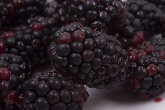 blackberries on a white background