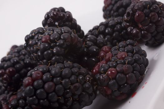 blackberries on a white background